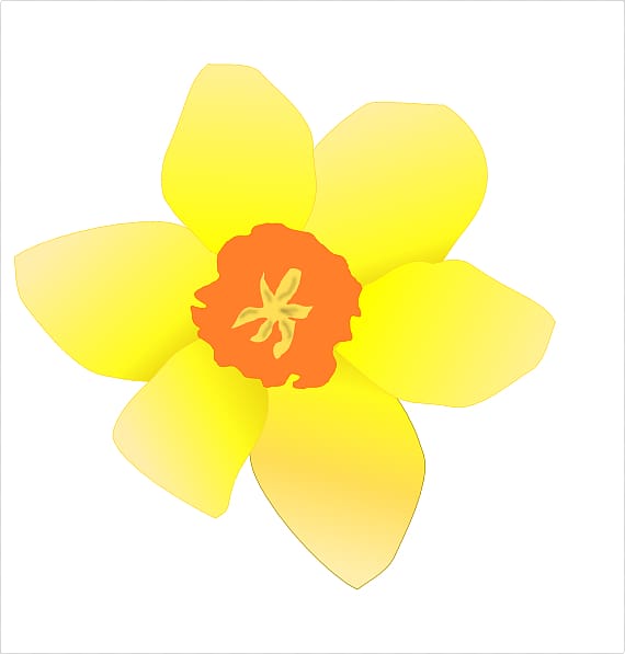 Daffodil Free content , Clump transparent background PNG clipart