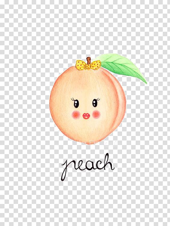 Fruit Peach Drawing Watercolor painting, peach transparent background PNG clipart