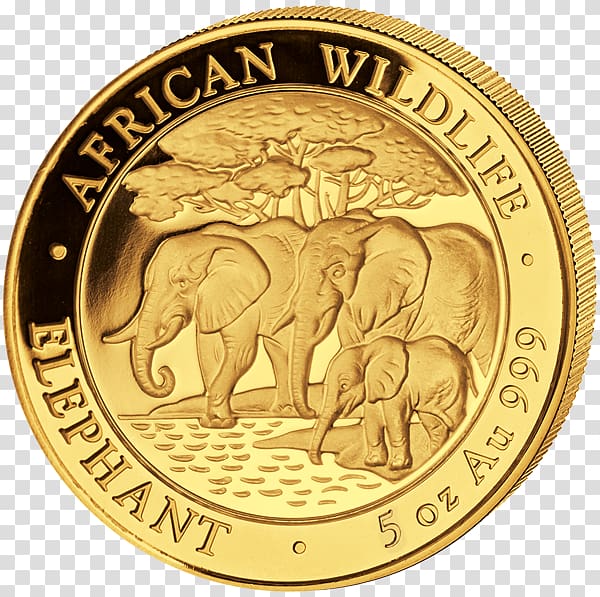 Gold coin Gold coin African elephant Elephantidae, Coin transparent background PNG clipart