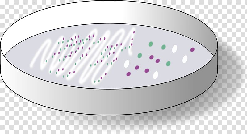 Agar plate Petri Dishes Bacteriology , plates transparent background PNG clipart