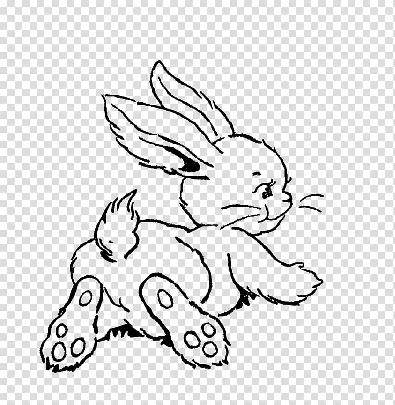Easter Bunny Line art Drawing Rabbit , Rabbit Line Art transparent background PNG clipart