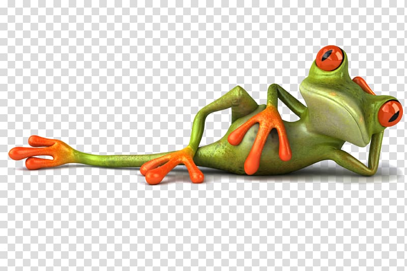 green frog , WhatsApp Hindi Humour Joke, frog transparent background PNG clipart
