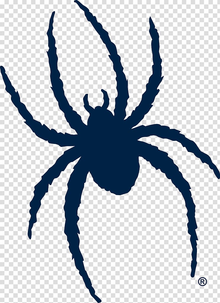 Robins Center UR Spider Shop and University Bookstore Richmond Spiders football Richmond Spiders mens basketball Richmond Spiders baseball, Red Spiders transparent background PNG clipart