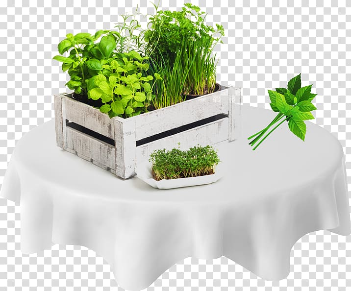 Fines herbes Vegetarian cuisine Spice Parsley, vegetable transparent background PNG clipart