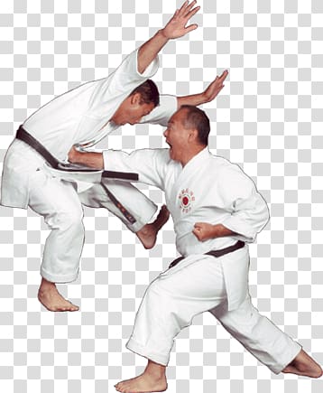 Karate Fighters transparent background PNG clipart