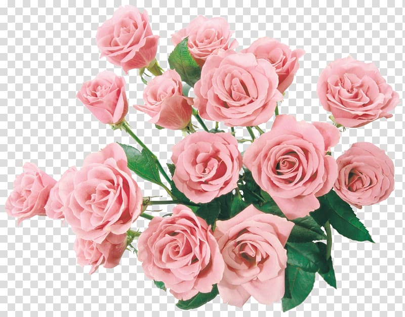 Flower Rose , A large bouquet of flowers transparent background PNG clipart