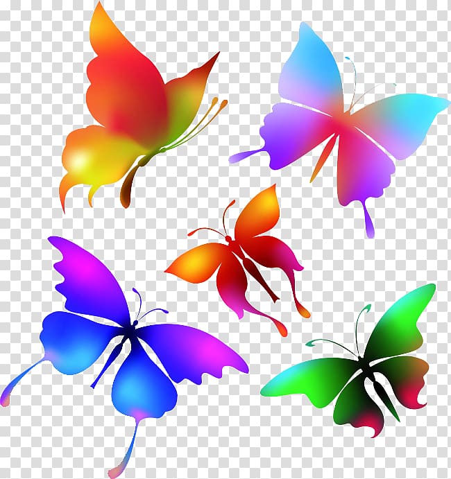 Butterfly Color , butterfly transparent background PNG clipart
