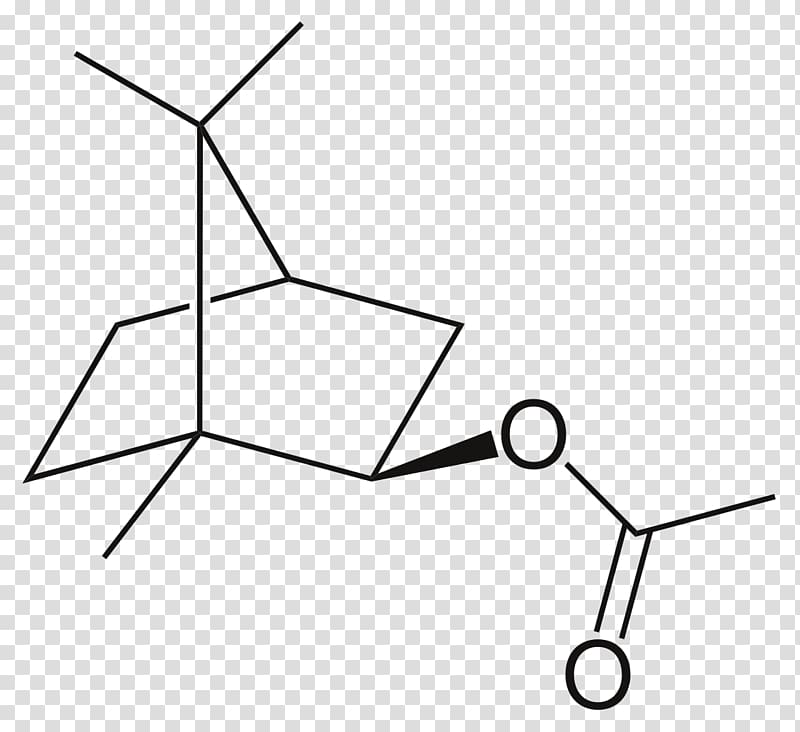 Borneol Camphorsulfonic acid Acetate Camphoric acid, Isobutyl Acetate transparent background PNG clipart