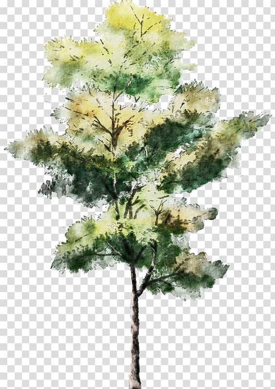 Tree Watercolor painting Drawing Architecture Sketch, Trees, green and yellow leafed tree illustration transparent background PNG clipart