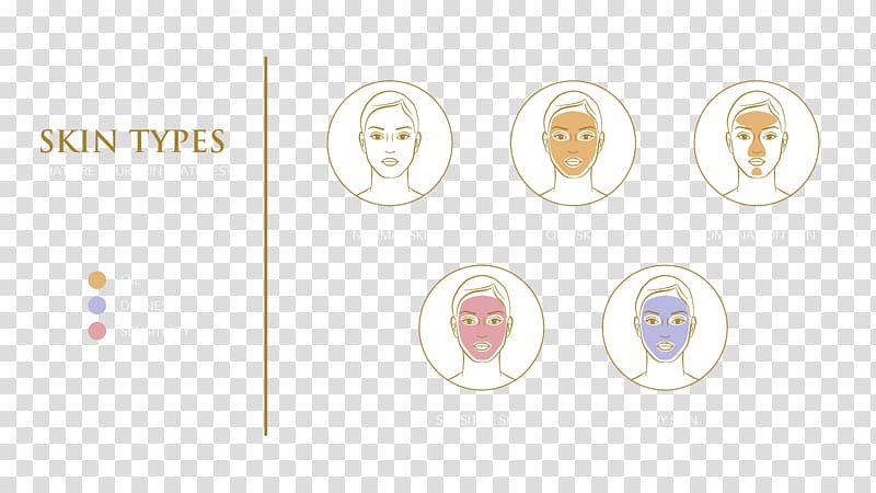 Logo Brand Font, design transparent background PNG clipart