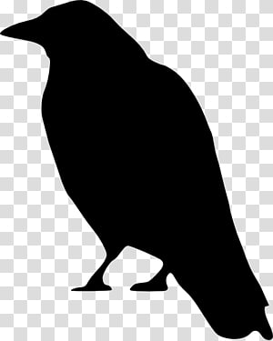 Crows , cartoon crow transparent background PNG clipart thumbnail