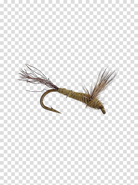 Holly Flies Artificial fly Dobsonflies George Daniel, fly fishing transparent background PNG clipart