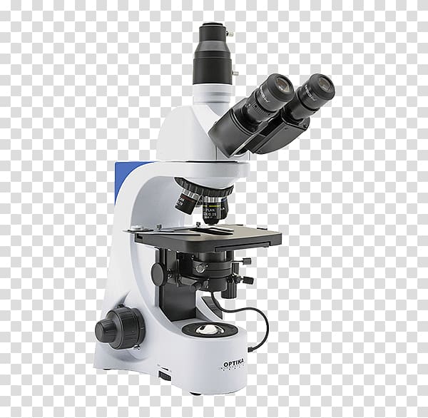 Bright-field microscopy Optical microscope Dark-field microscopy Light, light transparent background PNG clipart