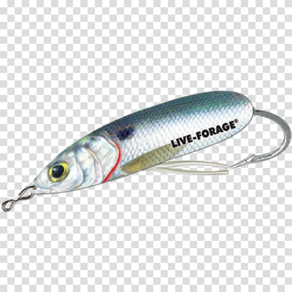 Spoon lure Sardine Oily fish AC power plugs and sockets, others transparent background PNG clipart