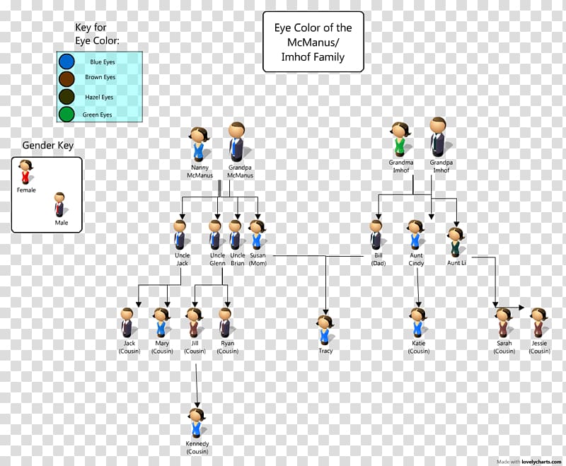 Pedigree chart Eye color Genetics Family tree Dominance, Eye transparent background PNG clipart