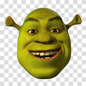 Shrek PNG transparent image download, size: 1600x1323px