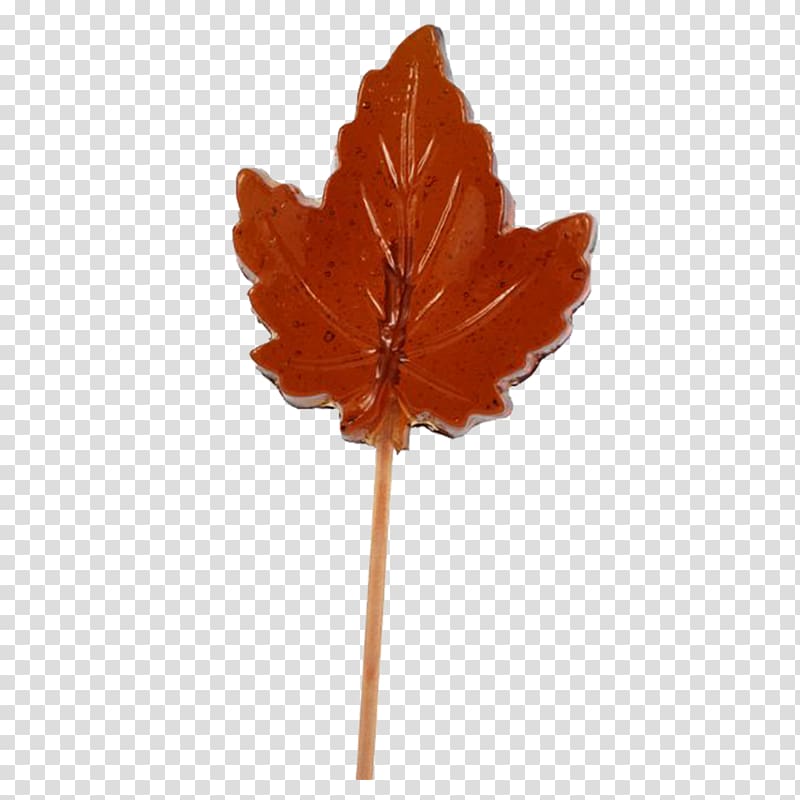 Lollipop Maple leaf Maple syrup Maple sugar, Leaf transparent background PNG clipart