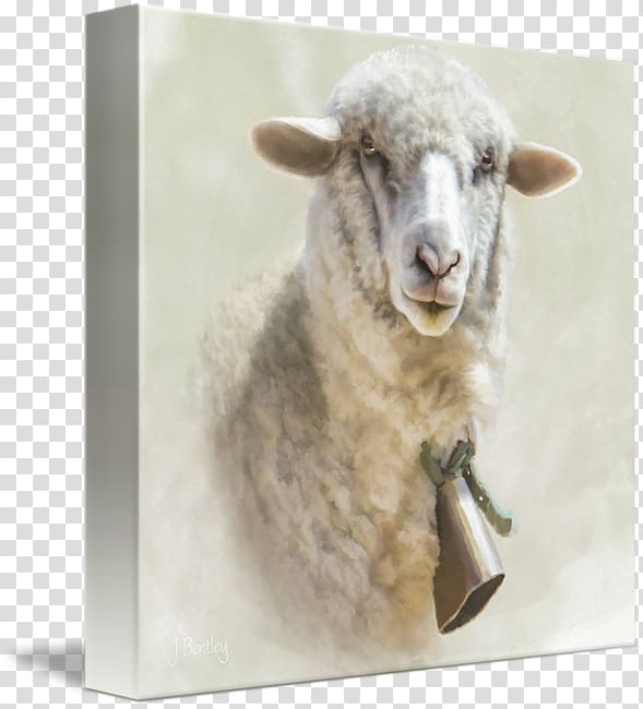 Sheep Gallery wrap Canvas Art Printing, sheep transparent background PNG clipart