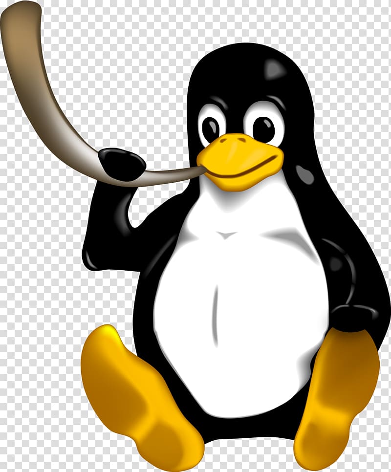 Penguin Tux Linux Ubuntu Avahi, tuk tuk transparent background PNG clipart