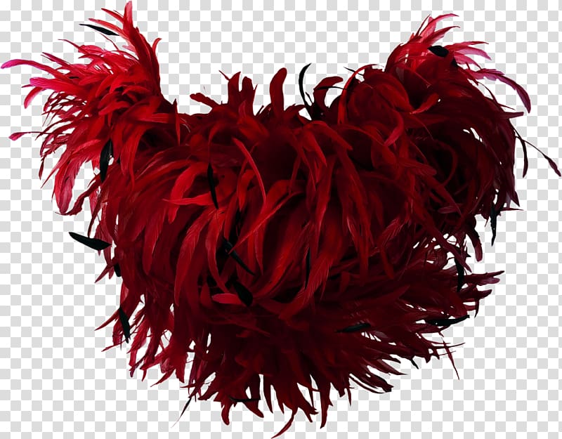red feather costume, Feather boa Bird Red, Red Feather transparent background PNG clipart
