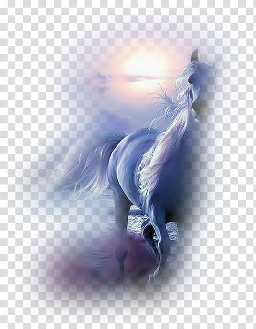 Appaloosa Equestrian Draft horse Canter and gallop, Animation transparent background PNG clipart