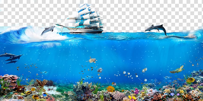 white and blue galleon ship 3D illustration, Underwater World, Singapore Dolphin Android , Underwater World Dolphin Sailing transparent background PNG clipart