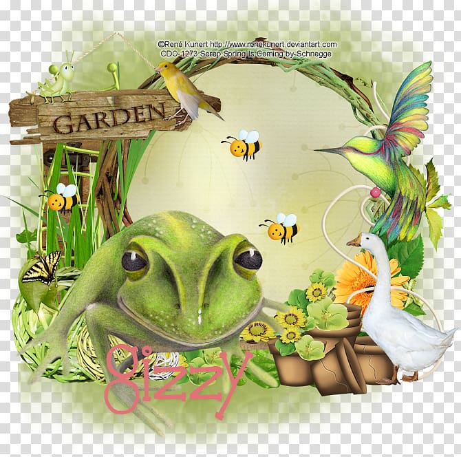 True frog Amphibian Tree frog Toad, spring is coming transparent background PNG clipart