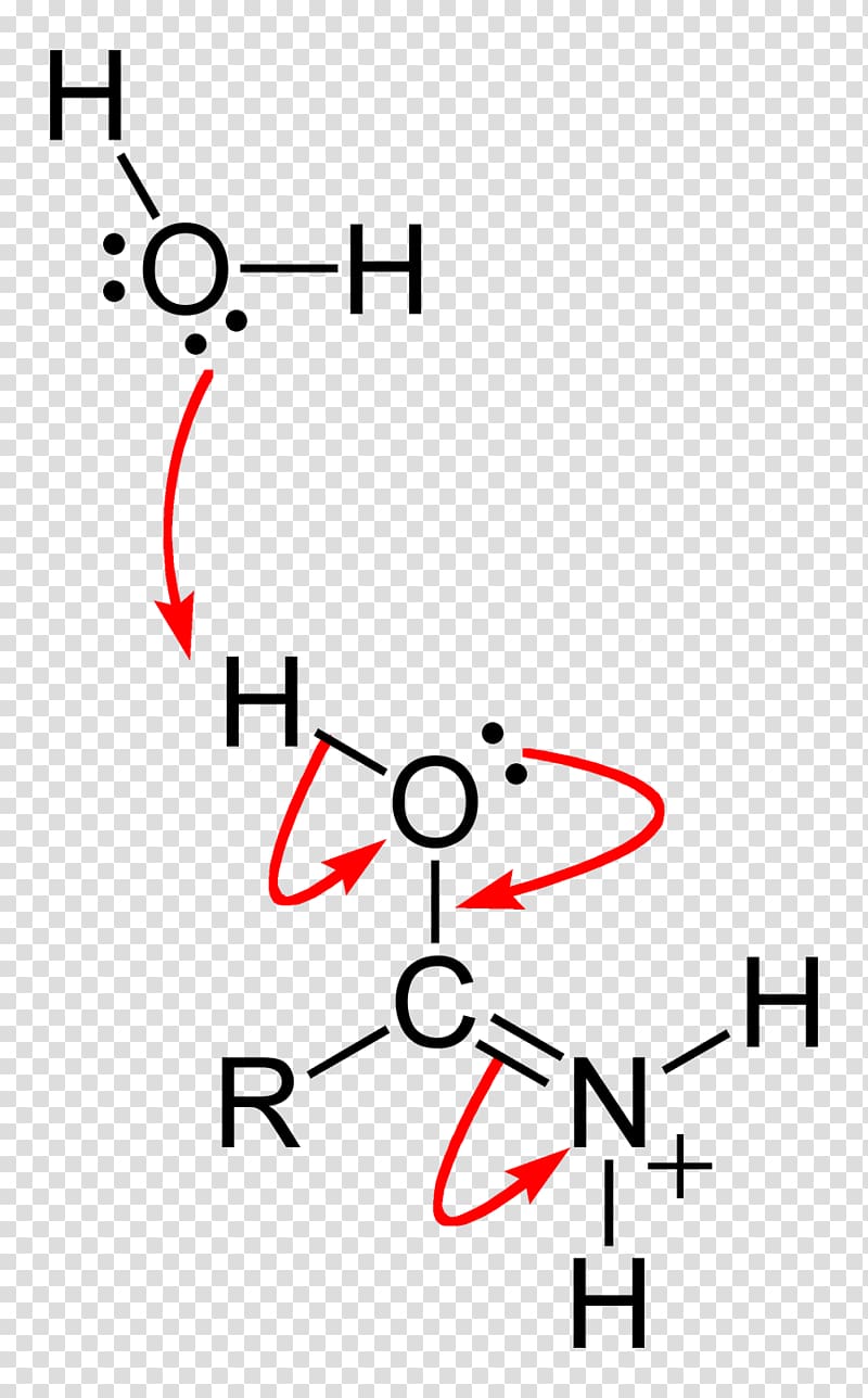 Carboxamide Chemistry Atom Peptide bond, steps transparent background PNG clipart