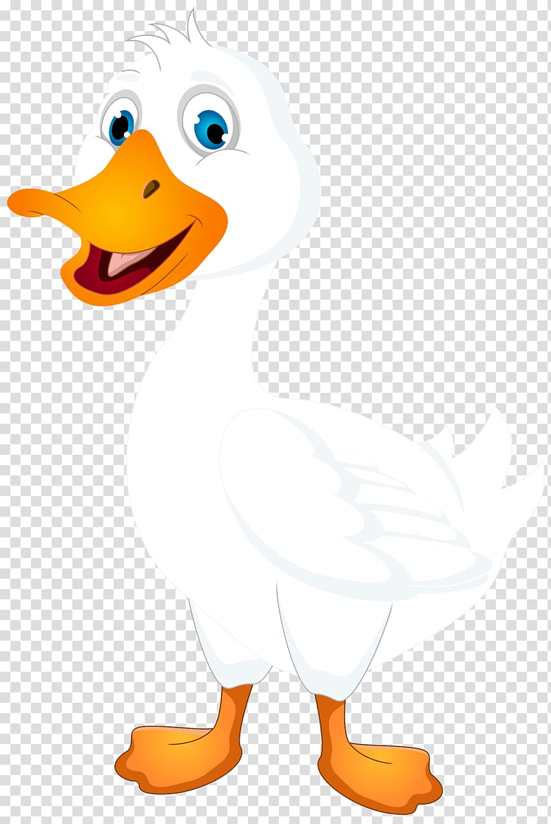 white duckling illustration, Duck , White Duck Cartoon transparent background PNG clipart