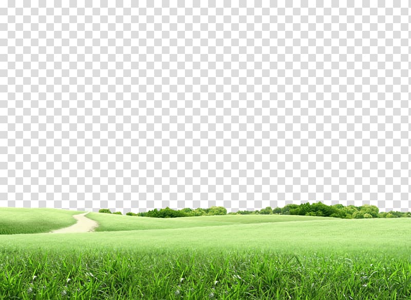 Lawn Golf course Landscape architecture, design transparent background PNG clipart