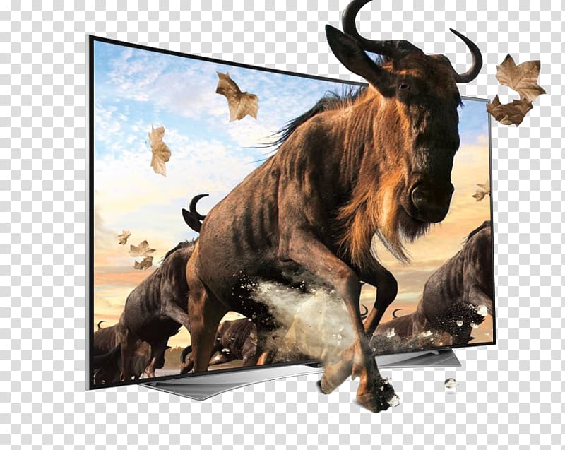 Ultra-high-definition television 4K resolution LED-backlit LCD LG Electronics, 3D effect transparent background PNG clipart