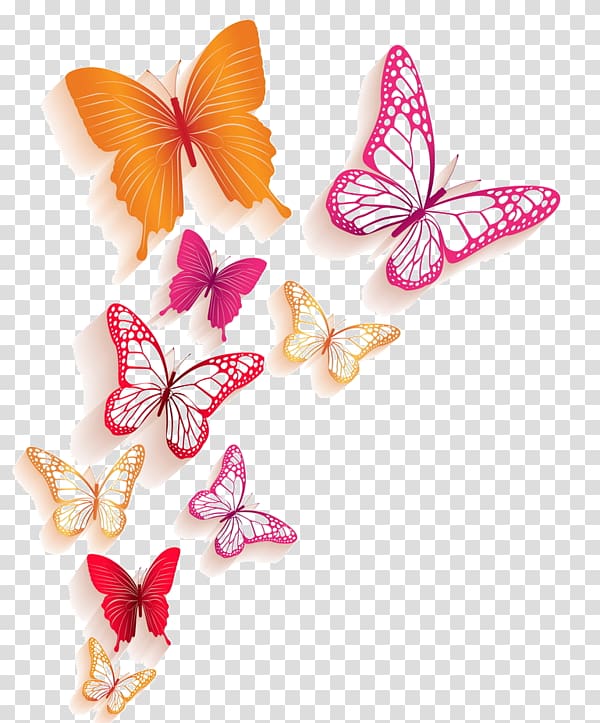 orange and pink butterfly party favors illustration, Butterfly Illustration, Floating butterfly transparent background PNG clipart