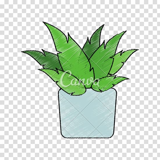 Drawing, Pot plant transparent background PNG clipart