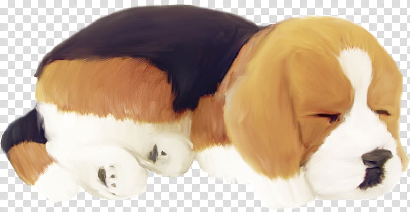 Beagle Pug Puppy Dog breed Cat, Sleeping puppy transparent background PNG clipart