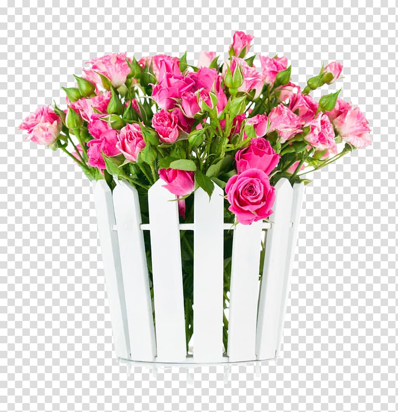 pink roses in white planter arrt, Seed Pink Color Flower White, Rose in Bloom transparent background PNG clipart
