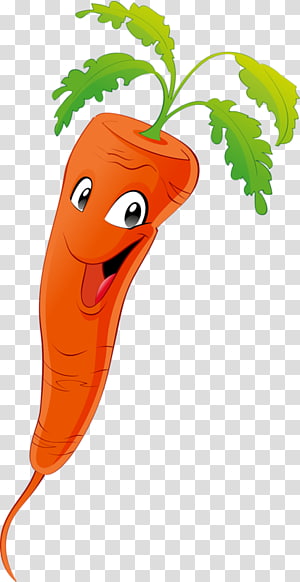 baton carrots clipart