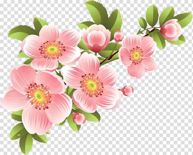 Flower Banner, Flowers transparent background PNG clipart