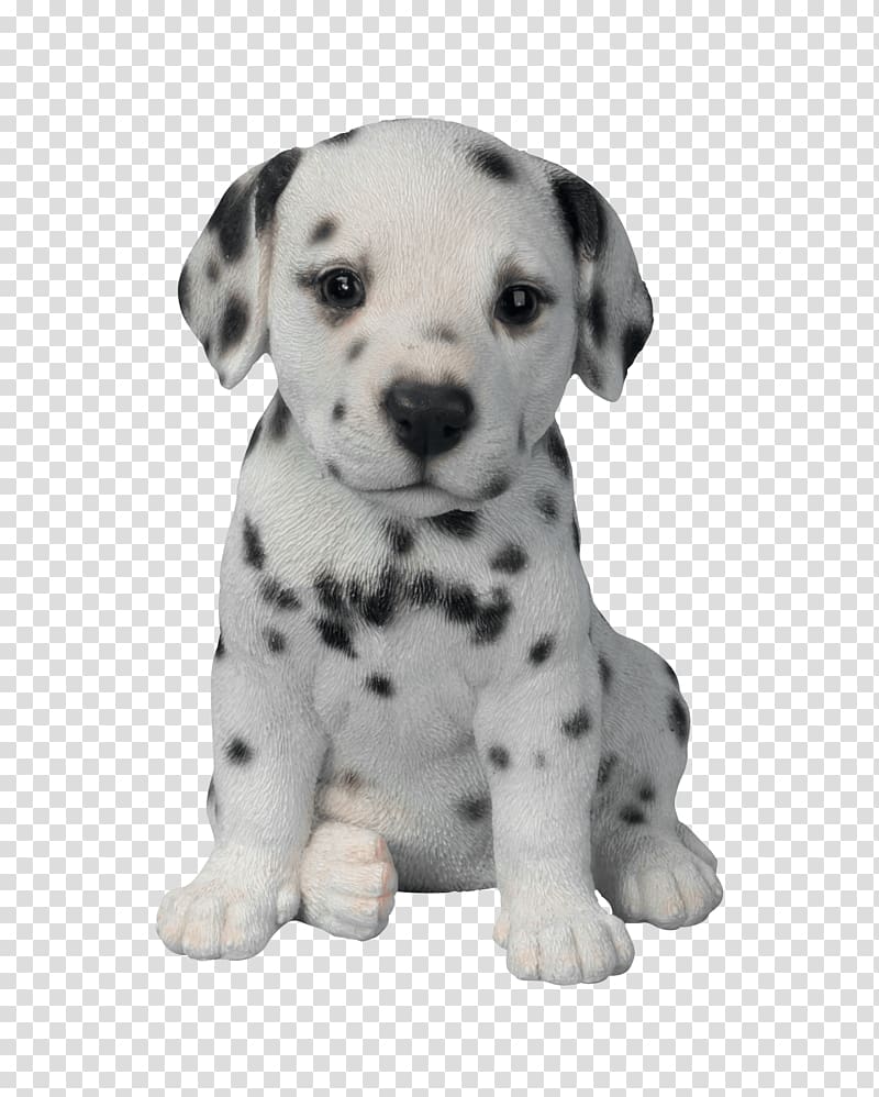 of black and white Dalmatian puppy, Dalmatian Puppy transparent background PNG clipart