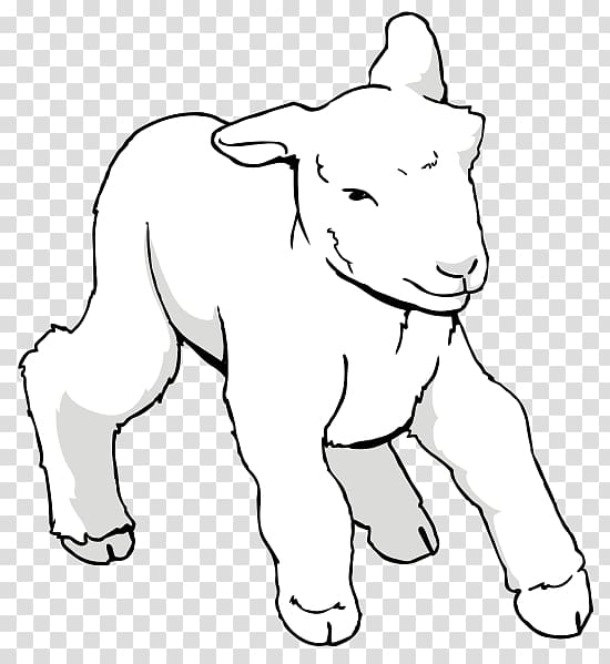 Sheep Goat Drawing , sheep transparent background PNG clipart