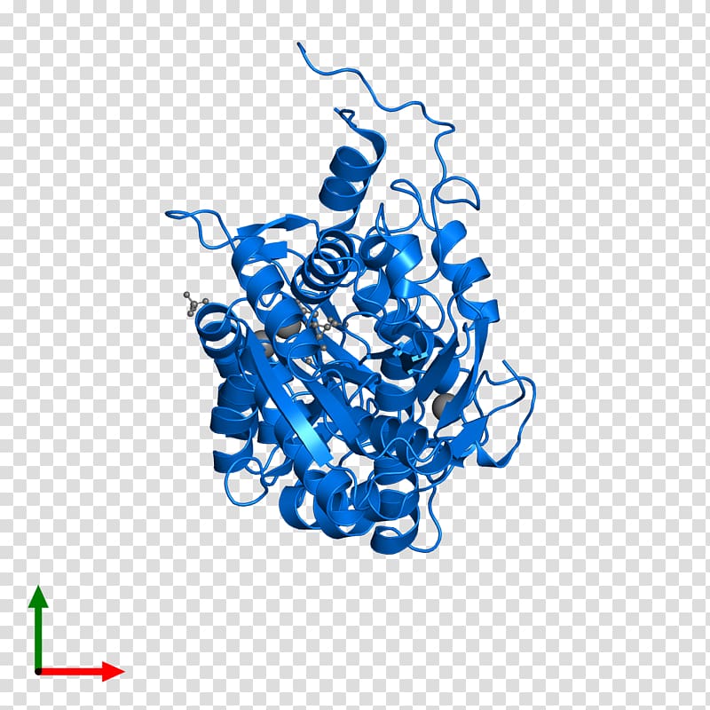 Protein Data Bank Structural Classification of Proteins database Pfam CATH database, monosodium glutamate structure transparent background PNG clipart