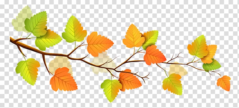 yellow and orange leaves illustration, Autumn Branch Tree , Fall Branch Decor transparent background PNG clipart
