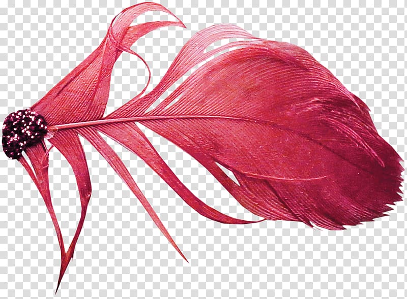 Red Feather Color, Red Feather transparent background PNG clipart