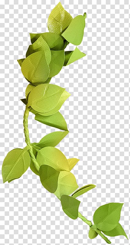 Autumn leaf color Green Branch, Leaves transparent background PNG clipart