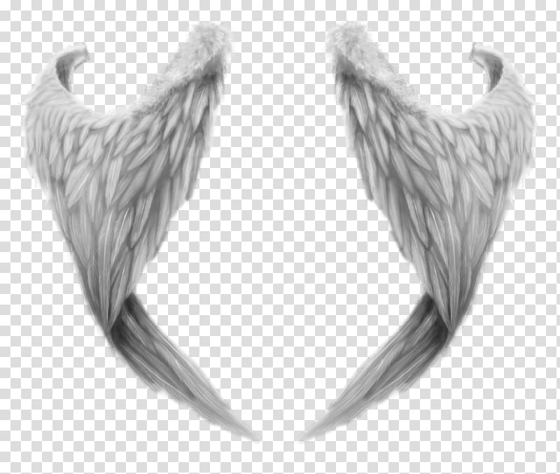 gray wings artwork, Fantasy Angel Wings transparent background PNG clipart