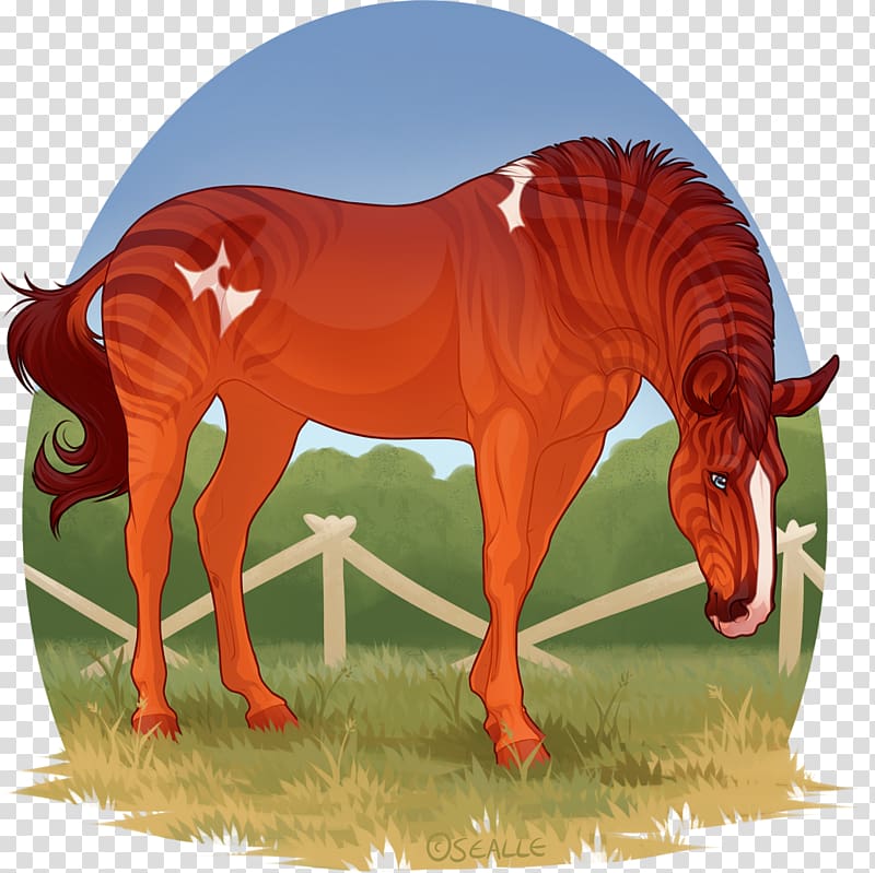 Mustang Stallion Artist, red fell pony transparent background PNG clipart