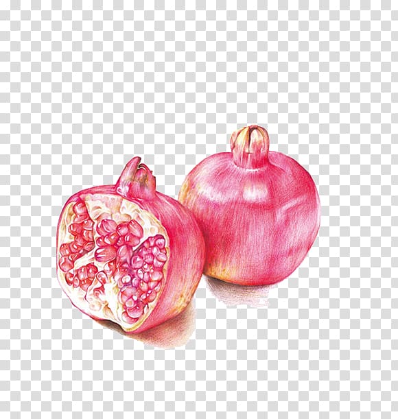 Drawing Colored pencil Watercolor painting, pomegranate transparent background PNG clipart