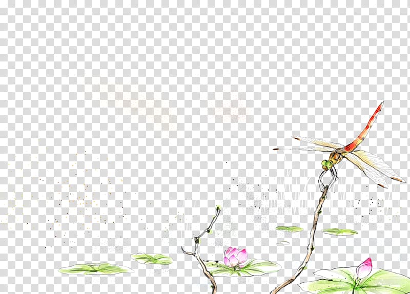 Watercolor painting Illustration, Dragonfly illustration transparent background PNG clipart