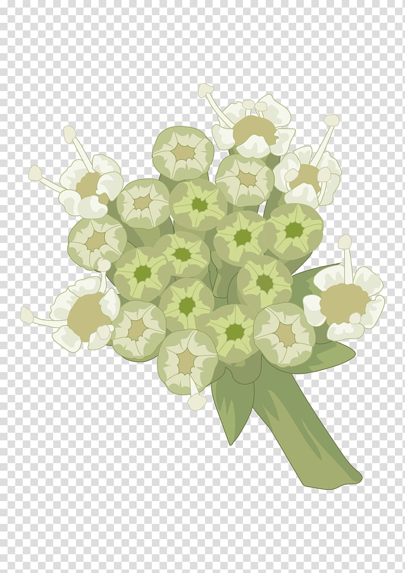 Cut flowers Plant Leaf Petal, flor transparent background PNG clipart