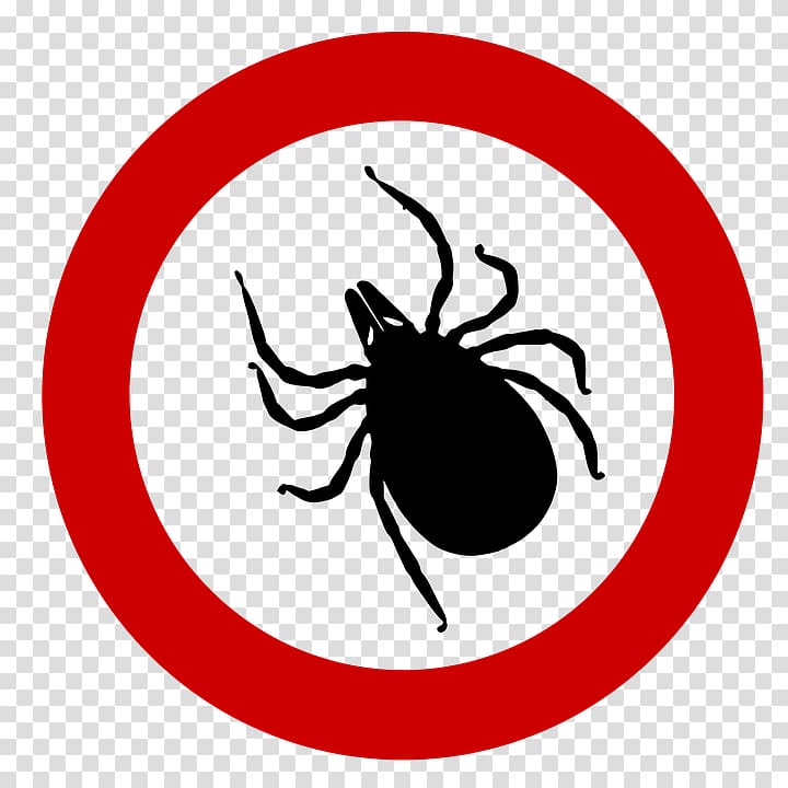 Tick transparent background PNG clipart