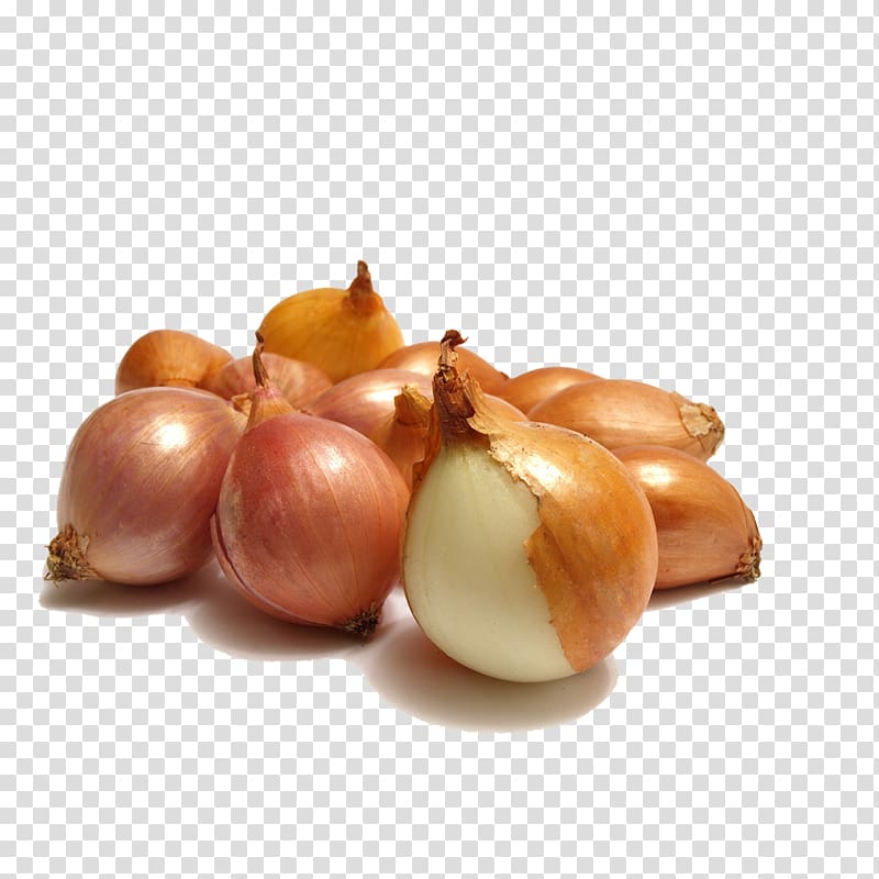 Vegetable onion Fruit , onion transparent background PNG clipart